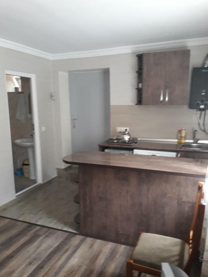 Apartament Sofia Appartamento Borjomi Esterno foto